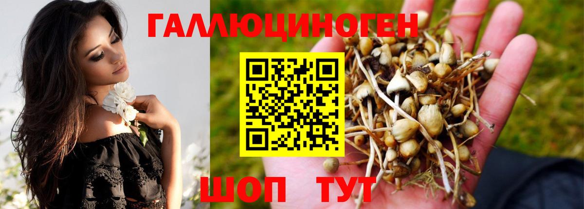 Галлюциногенные грибы Psilocybine cubensis Канаш